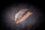 RHODE ISLAND IKEJIME SCUP (PORGY) FILETS