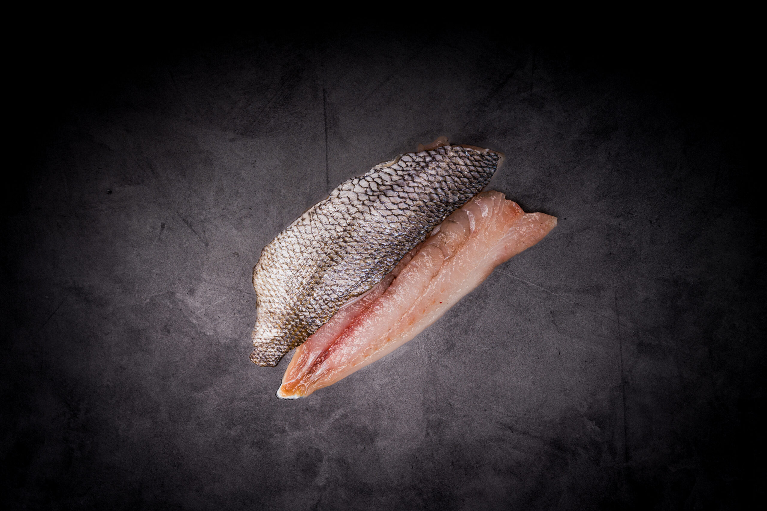 DSC03664 RHODE ISLAND IKEJIME SCUP (PORGY) FILETS - Image 1