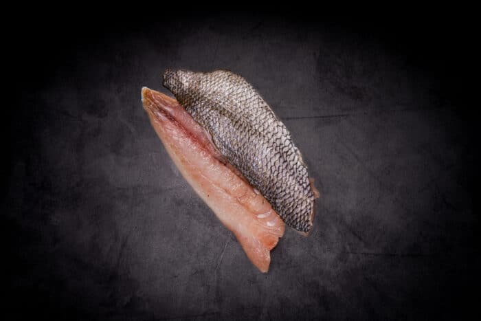 KEJIME SCUP (PORGY) FILETS - Image 2