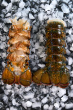WILD ATLANTIC LOBSTER TAILS