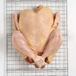 ORGANIC PASTURE-RAISED PIONEER BREED WHOLE CHICKEN (3.5 - 4 lbs)