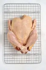 ORGANIC PASTURE-RAISED PIONEER BREED WHOLE CHICKEN (3.5 - 4 lbs)