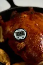 DIGITAL INSTANT THERMOMETER - Image 2