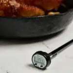 DIGITAL INSTANT THERMOMETER