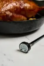 DIGITAL INSTANT THERMOMETER