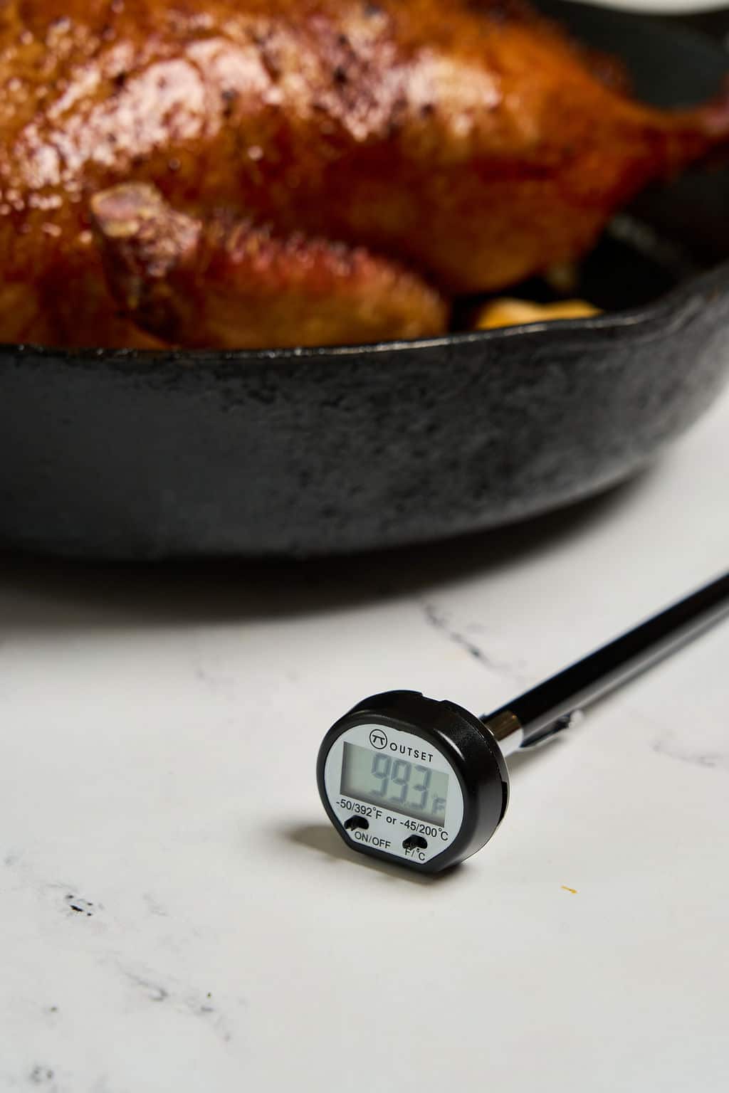 Easy to Read Digital Instant Thermometer | WOLFS Provisions